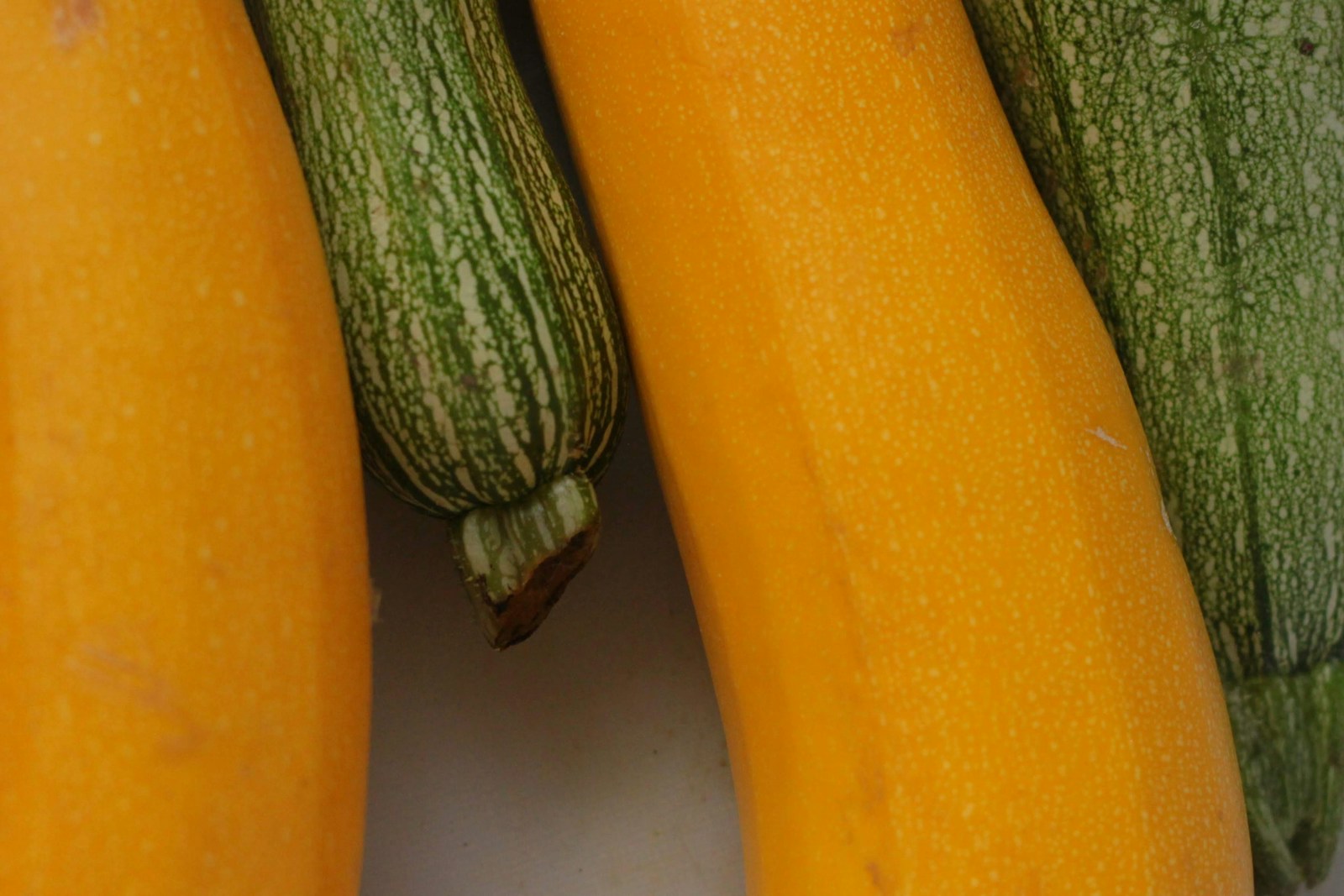 Gratin de courgettes au fromage